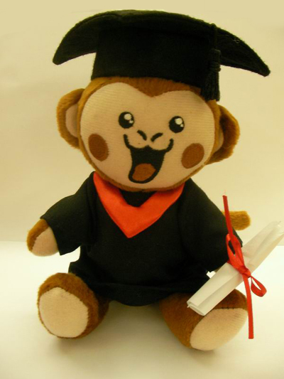 IMAGE_DESC_TAG